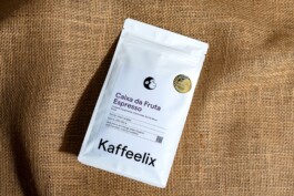  illustration-felix-malmborg